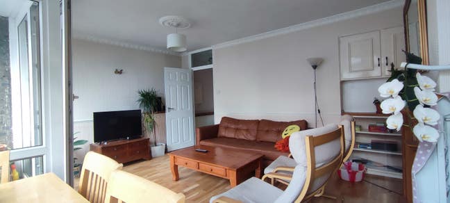 Spacious flat nr Guy's Hospital, London Bridge SE1 Main Photo