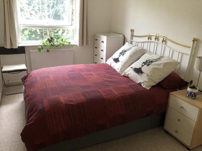  1 Double Room for Single Accommodation.  Main Photo