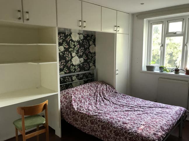 Spacious, veggie, clean and quiet  Main Photo
