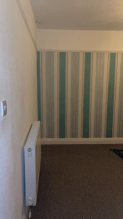 Double room  Main Photo