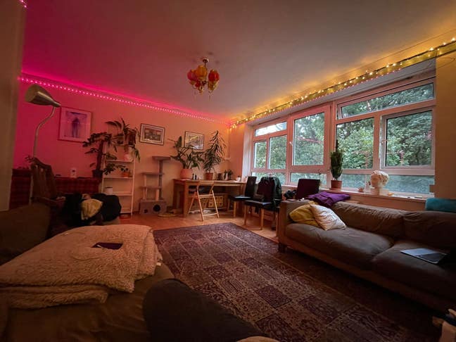 Bright large double in Finsbury Park Main Photo