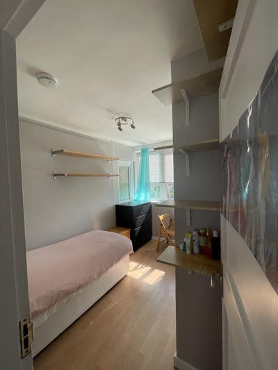  Single Room in Female Flat Main Photo