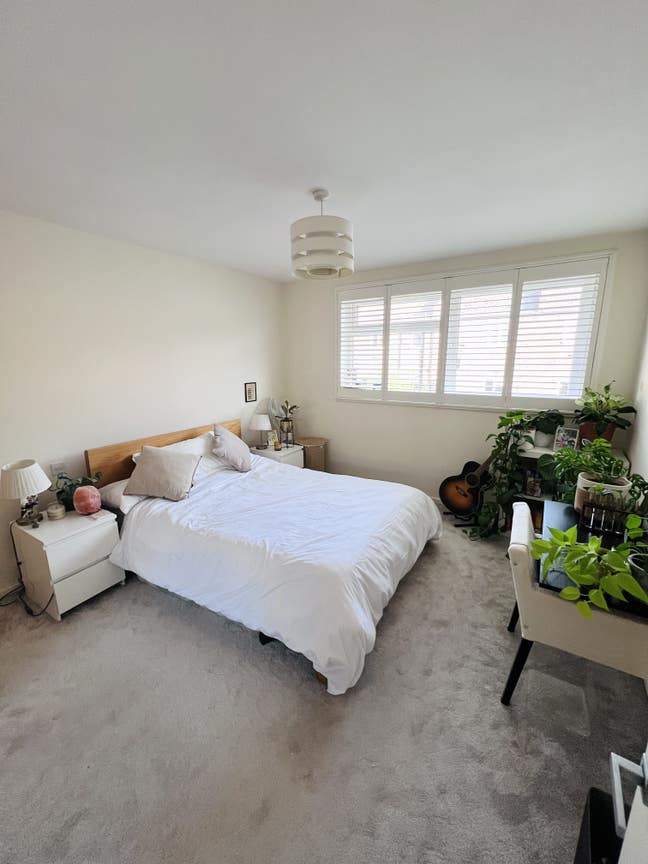Looking for Creative Veggie/Vegan Flatmate!  Main Photo