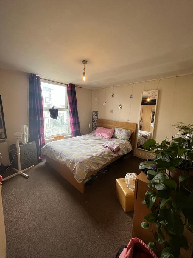 Double room in 2-bed Harringay flat Main Photo