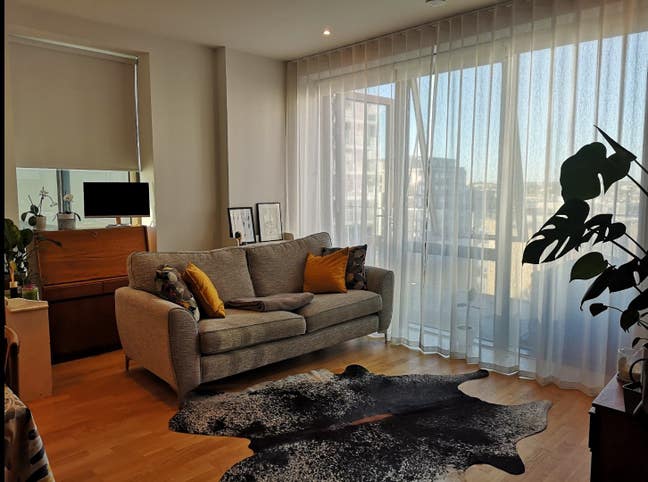 Gorgeous balcony flat with river & skyline view Main Photo