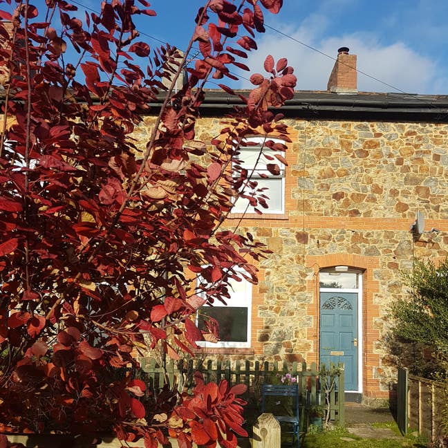 Lovely single room  in Bovey Tracey for female  Main Photo