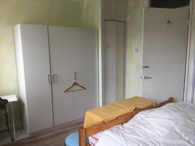 Bright Fresh Spacious Room Main Photo