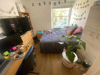 Double room available from the 5th of November  Main Photo