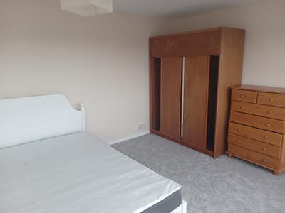 Spacious double room must like cats! Main Photo