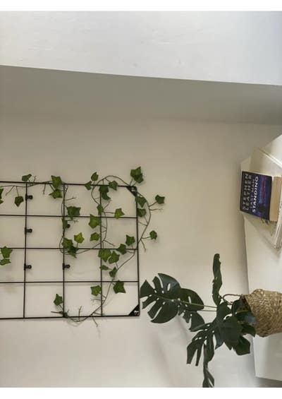 4 Bed House Share Longton - 2 En-Suite Main Photo