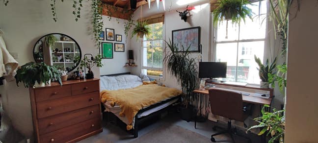 Double Bed, Park View (2 weeks) 2 Feb to 15 Feb Main Photo