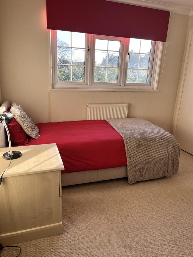 Medium size room, Furnished, good storage Main Photo