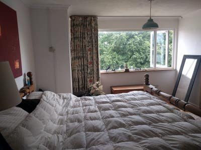 Lovely room, big peaceful flat w garden all bills  Main Photo