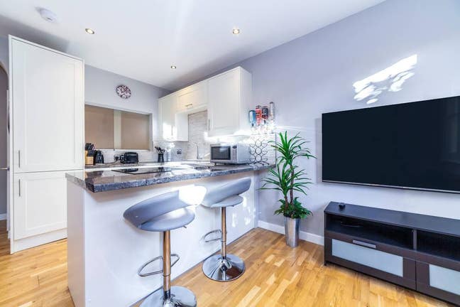 Brand New Comfy One Bed Flat in Putney Main Photo