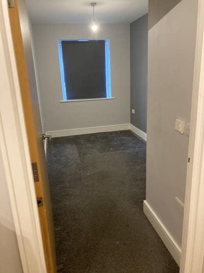 Friendly and easy going flatmate needed Main Photo