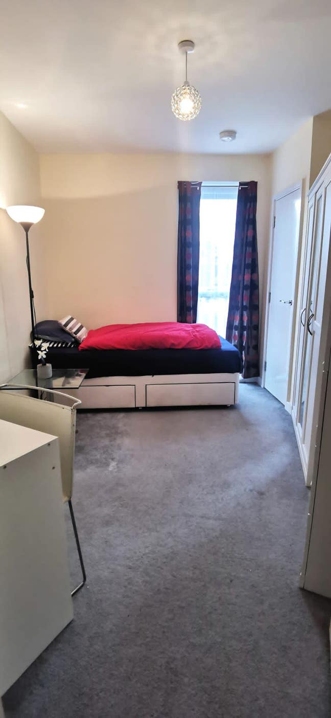 Single room to let  Main Photo