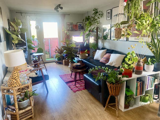 Lovely room in Brixton  Main Photo