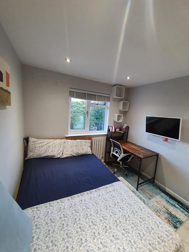 Lovely modern house for female only Main Photo