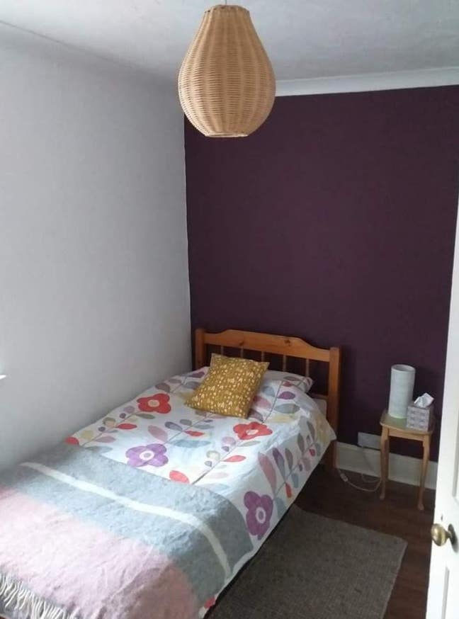 Single room/Double room available in lovely te Main Photo