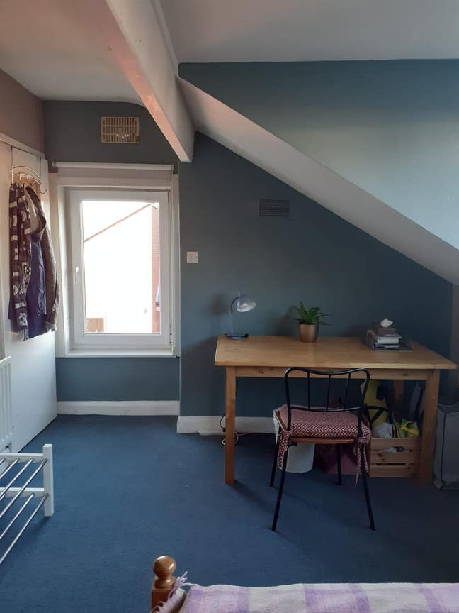 Lovely double bedroom (cats welcome) Main Photo