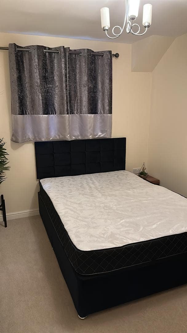 Double room  available in a two bedroom flat Main Photo