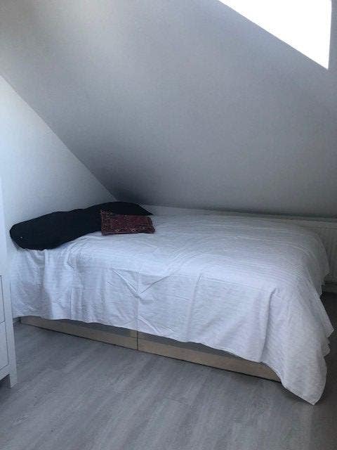 Spacious loft room with en-suite to rent. Main Photo