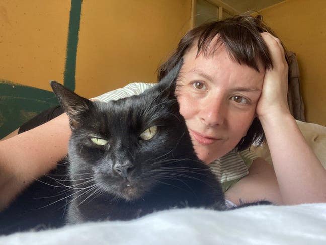 Whole flat/house wanted Main Photo