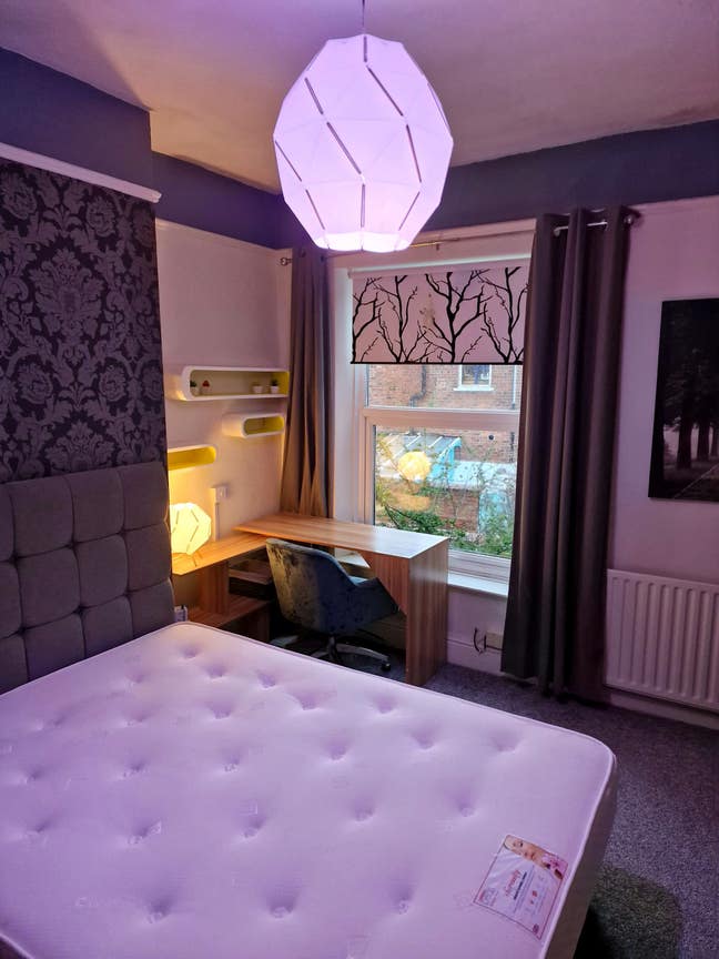 Pet Friendly House Main Photo