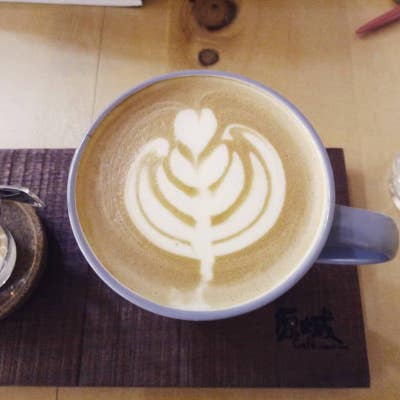 I am a full time professional female Main Photo