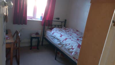 Single room available for female only Main Photo