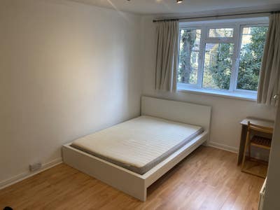 Bright roomy double in cute + tidy flat with 39yo Main Photo