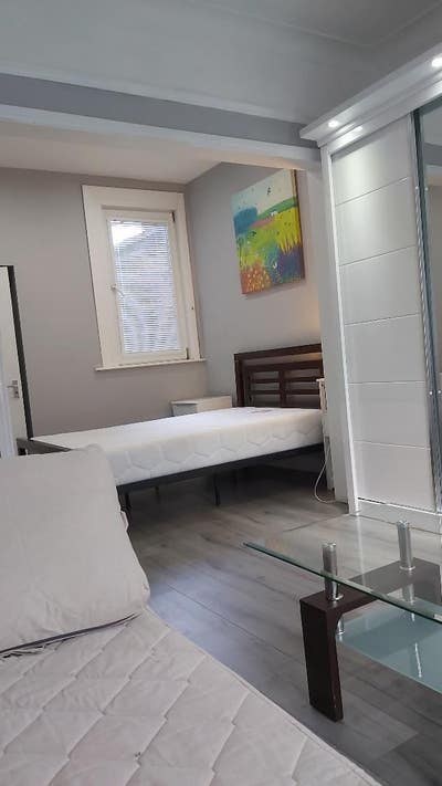 Huge and beautiful ensuite room - cats welcome Main Photo