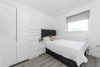 Bright, Spacious Room in a Friendly Home Main Photo