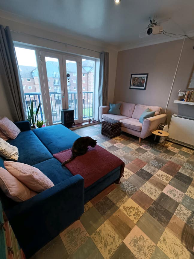 Double room for a female lodger 😻 Main Photo