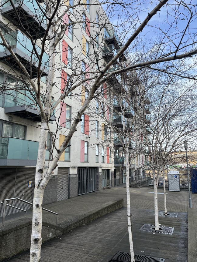 Bright Double room by lime-cut canal Main Photo