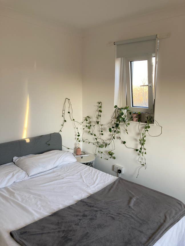 Spacious and furnished bedroom in Walthamstow Main Photo