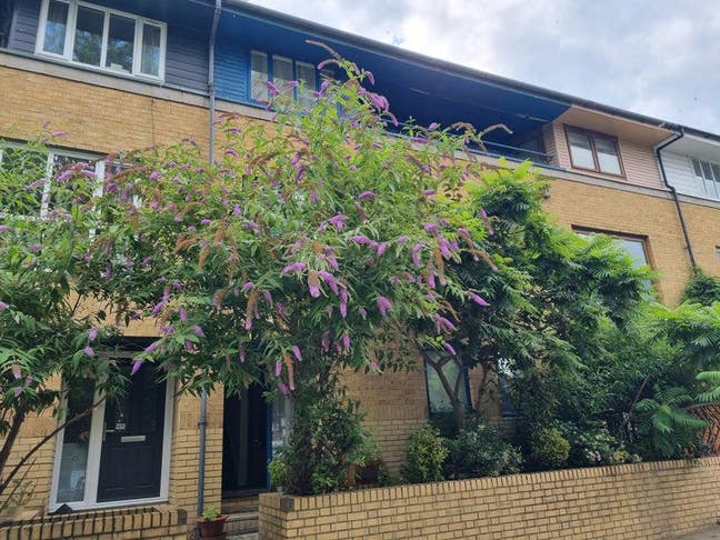 Short let - bright airy double room & living areas Main Photo