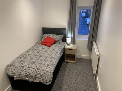 🏡 Large single room just decorated! Main Photo