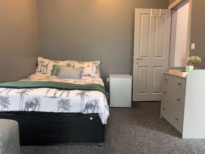 Mini Studio - No Deposit Option Available Main Photo