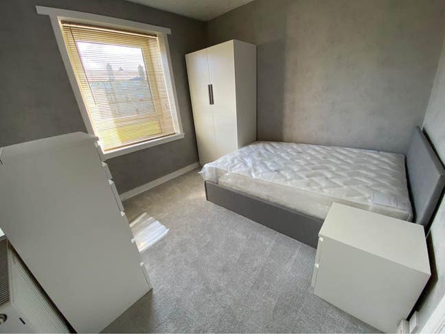 Double Room Available - 2 minute walk from UOA Main Photo