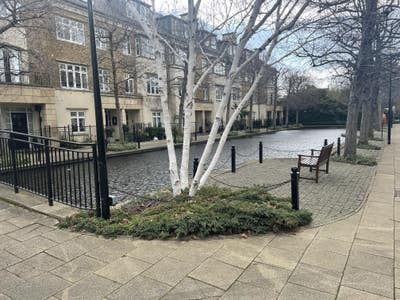 Self contained boutique studio in Kew Riverside Main Photo