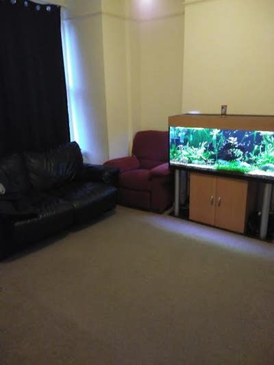 Double room central oxford Main Photo