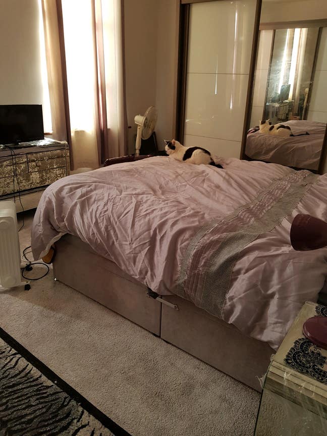  Double Room to rent Main Photo