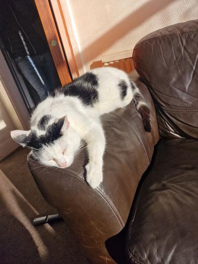 Looking for people to rent with Main Photo