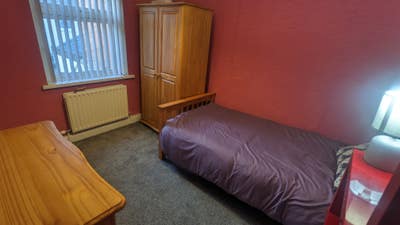 Big single room. Central to Belfast. Friendly dog. Main Photo