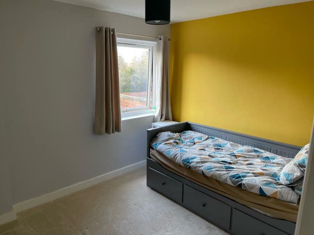 Large double room available near Prospect Park Main Photo