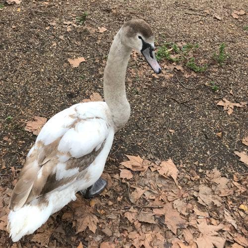 airy, bright, clean, elegant, safe, quiet Main Photo