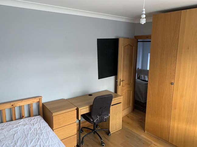 Large Single Room BR5 Orpington Bills Inc Male Pre Main Photo