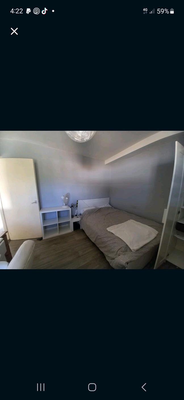Double Room Available. Must Love Cats!  Main Photo