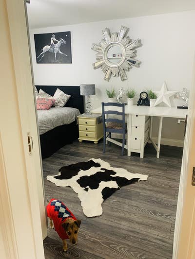 ⛷🐶 🐴 house of professionals  (AWE)   long/short Main Photo